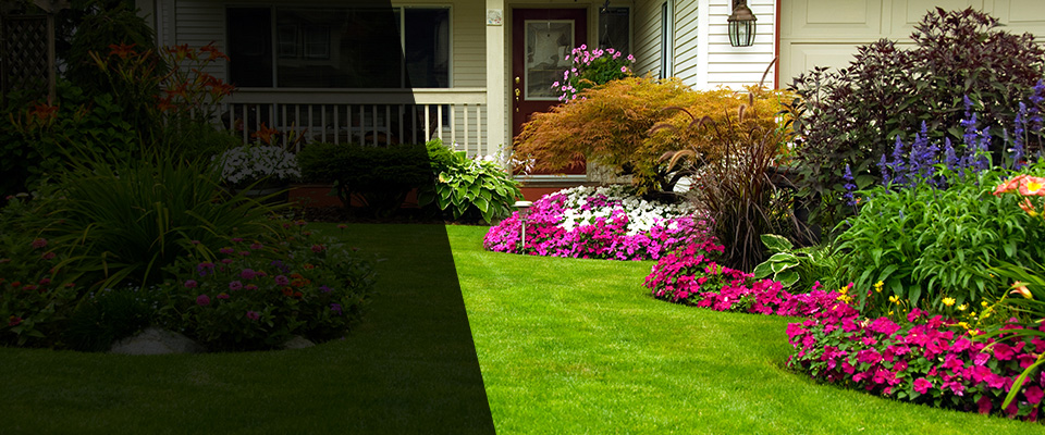 Enfield Landscapers